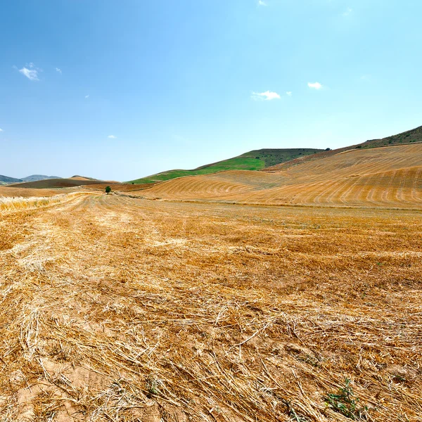 Sicilya tepelerinde anız alanların