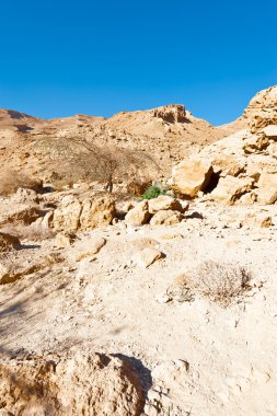 İsrail 'de Negev Çölü