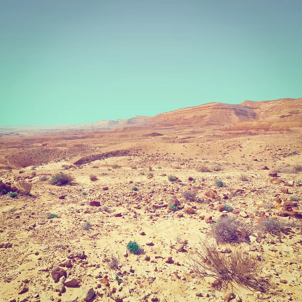 Deserto del Negev in Israele — Foto Stock