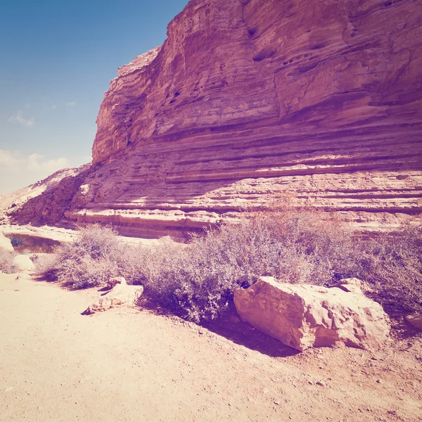 Canyon En Avedat — Stock fotografie