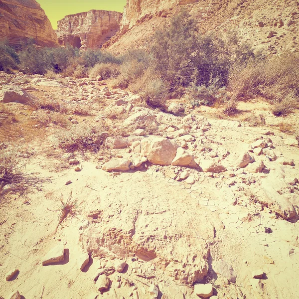 Desierto al atardecer —  Fotos de Stock