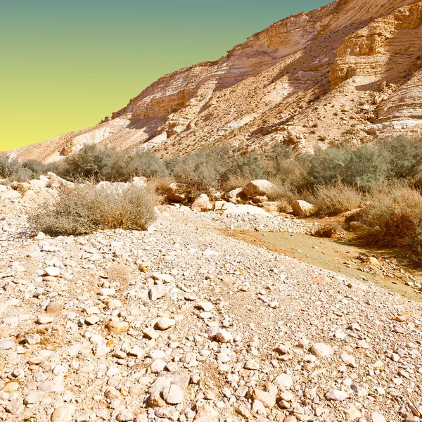 Пустеля в Ізраїлі — стокове фото