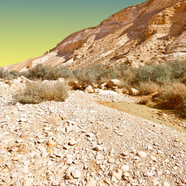 Desert in Israel — Stock Photo, Image