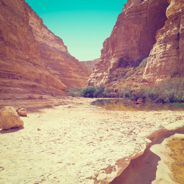 Canyon nel deserto — Foto Stock