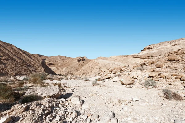 Negevská poušť v Izraeli — Stock fotografie