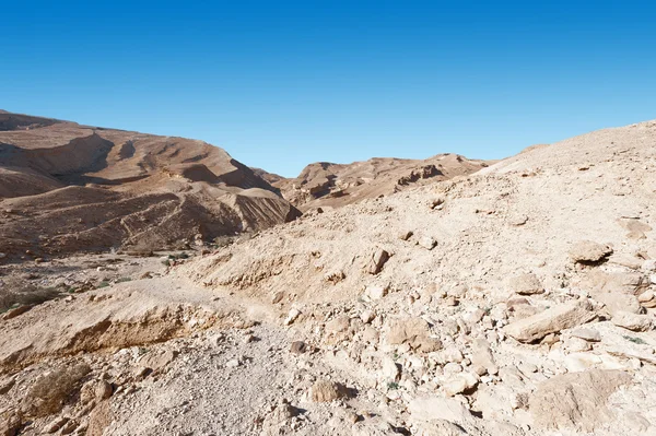 Пустеля Негев в Ізраїлі — стокове фото