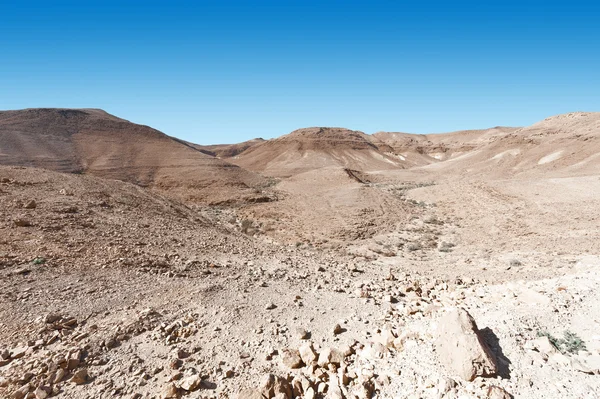 Negev Desert in Israel — Stock Photo, Image