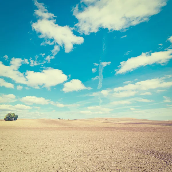 Plowed Fieelds en Espagne — Photo