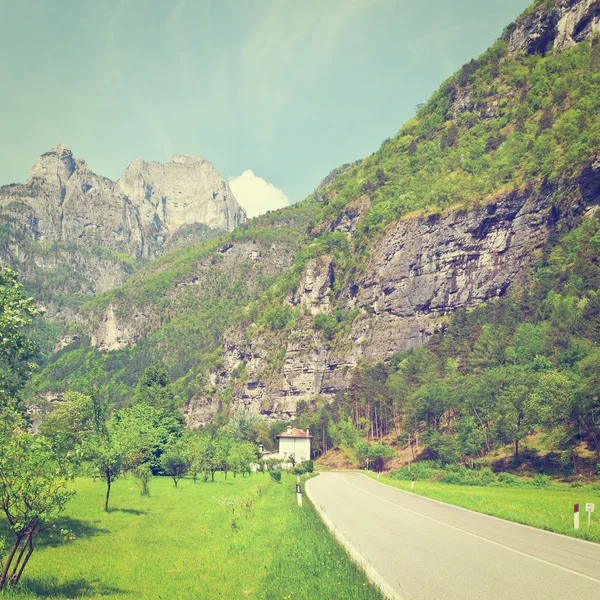 Weg in alpen — Stockfoto