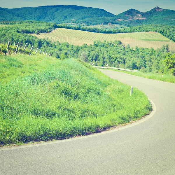 ブドウ畑の間の道路 — ストック写真