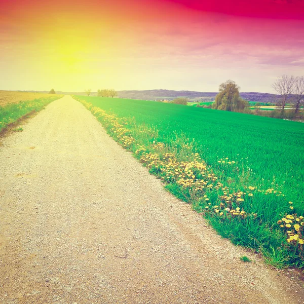Estrada de terra ao pôr do sol — Fotografia de Stock
