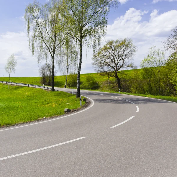 İsviçre Alpleri'nde yol