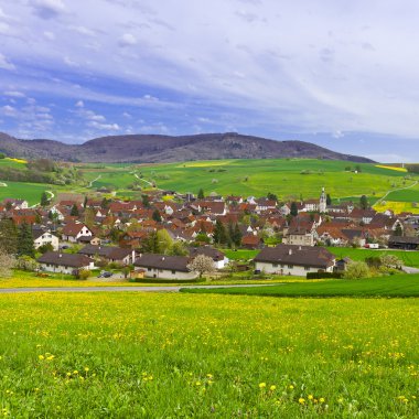 İsviçre Kasabası Otlaklarla çevrili