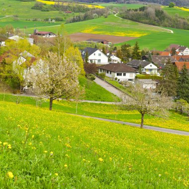 İsviçre Kasabası Otlaklarla çevrili