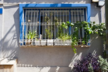 Tel Aviv penceresinde