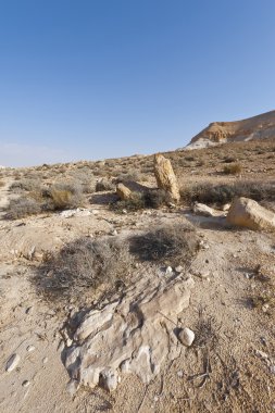 İsrail 'de Negev Çölü