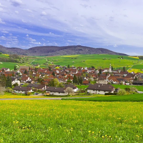 Ville suisse entourée de pâturages — Photo