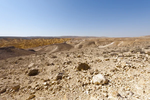 Öken i israel — Stockfoto