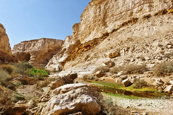 Desert in Israel — Stock Photo, Image