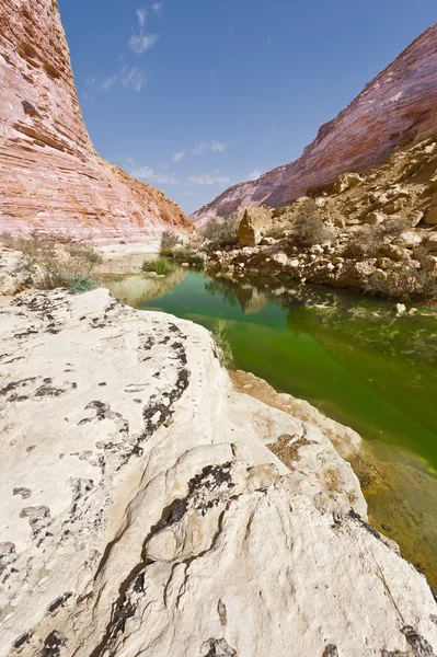 Canyon i israel — Stockfoto