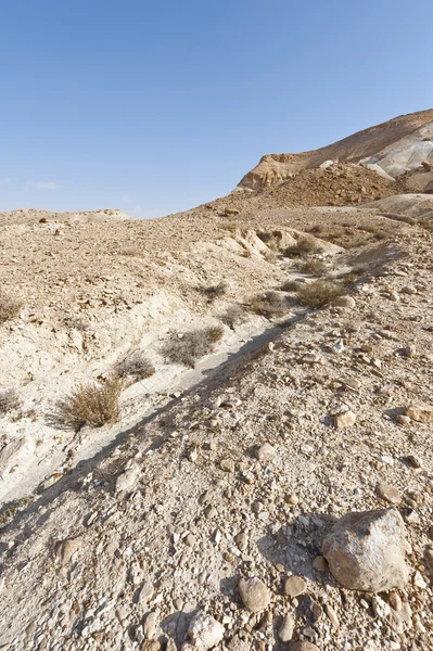 Deserto in Israele — Foto Stock