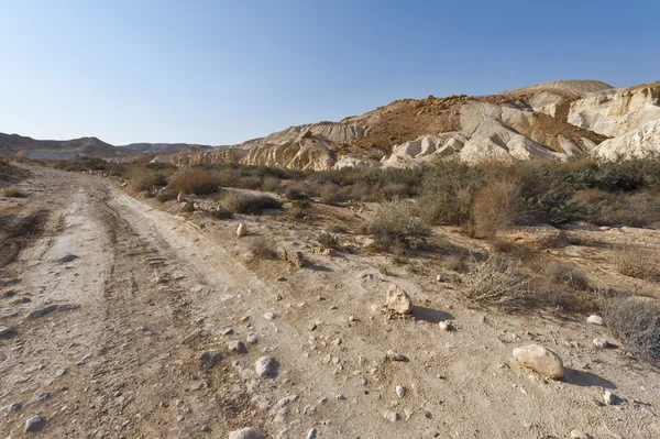 Negev woestijn in Israël — Stockfoto