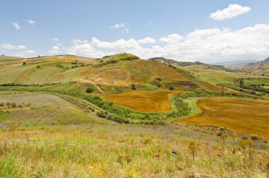 Sicilya Kırsal Arazisi 