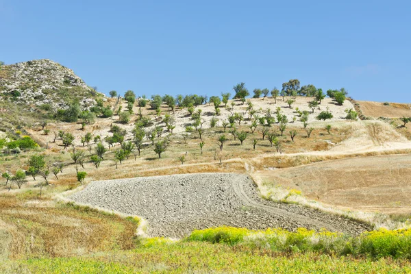 Landschaft Siziliens — Stockfoto