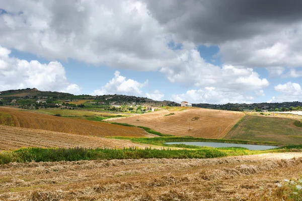 Кошеное пшеничное поле — стоковое фото