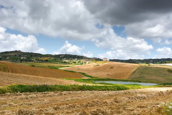 Campo de trigo cortado — Foto de Stock