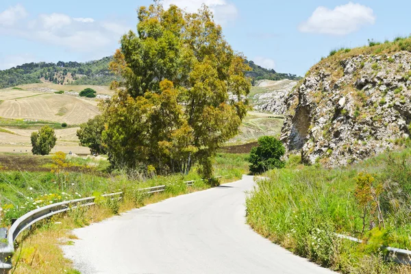 Estrada entre campos — Fotografia de Stock