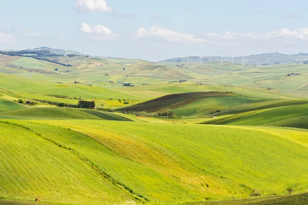 Campi sulle colline — Foto Stock