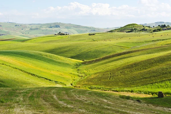 Collines de Sicile — Photo