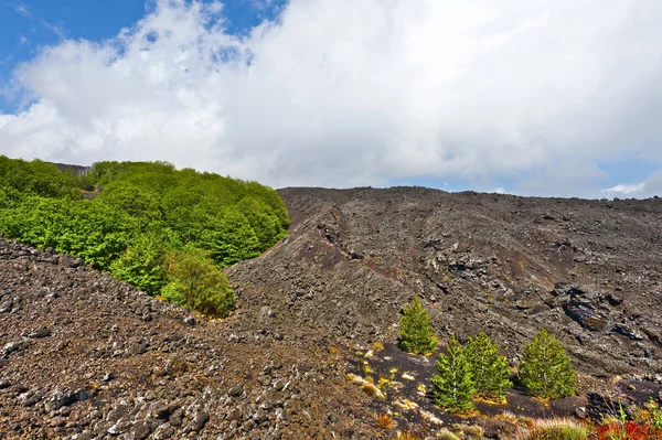 Stelnat svart Lava — Stockfoto