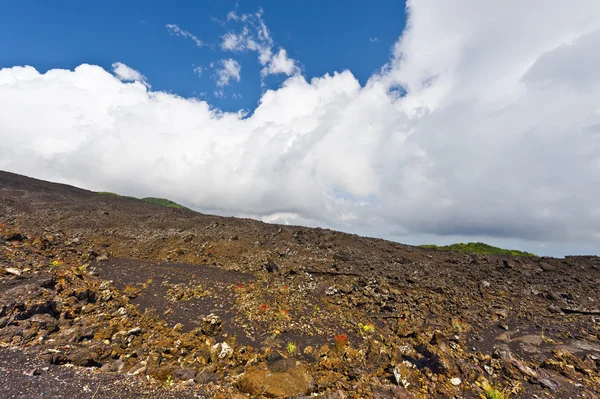 Gestolde zwarte Lava — Stockfoto