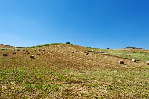 多くの干し草の俵とシチリアの風景 — ストック写真