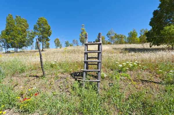 Wooden Ladder Leading to the Park in Sicily — Stock Photo, Image