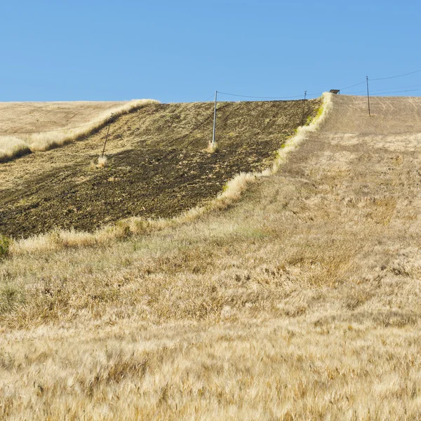 Champ de blé sur les collines en Sicile — Photo