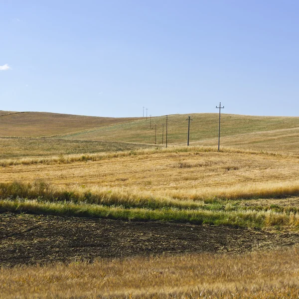 Sicilya 'daki tepelerde buğday tarlası — Stok fotoğraf