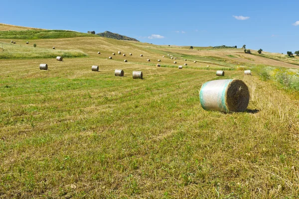 Landscape of Sicily with Many Hay Bales — Stock Photo, Image