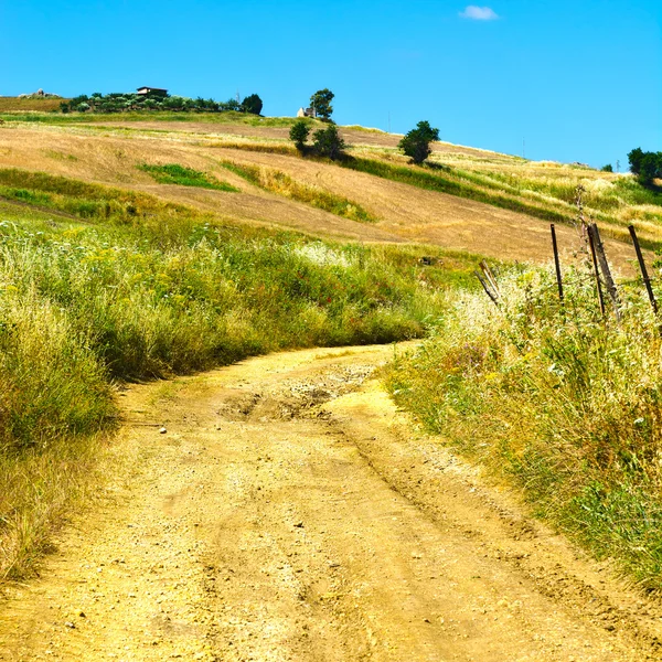 Chemin de terre entre les champs — Photo