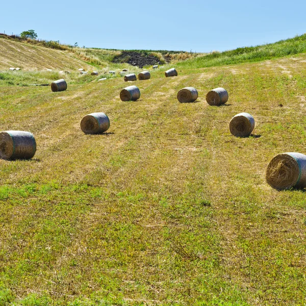 Paisaje de Sicilia con muchas balas de heno —  Fotos de Stock