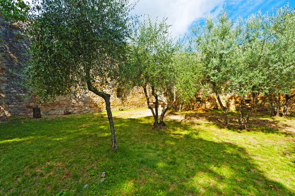 Middeleeuwse stad van Gimignano in Italië — Stockfoto