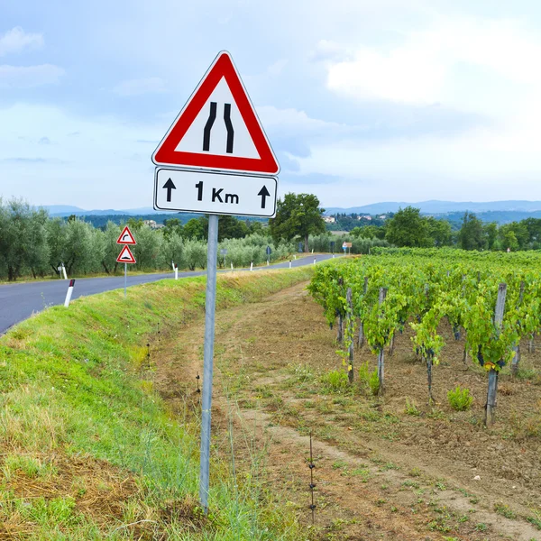 Road near Vineyards — Stock Photo, Image