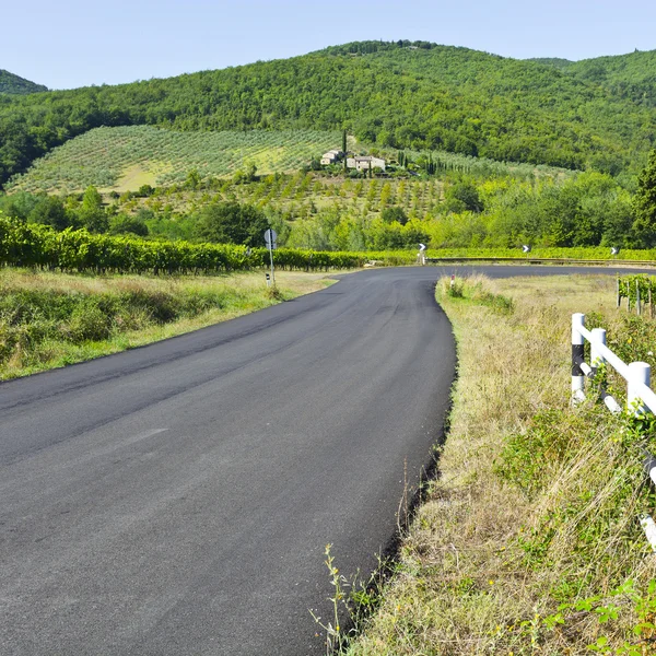 Estrada perto de Vineyards — Fotografia de Stock