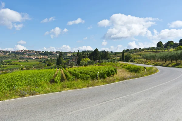 Camino cerca de Viñedos —  Fotos de Stock