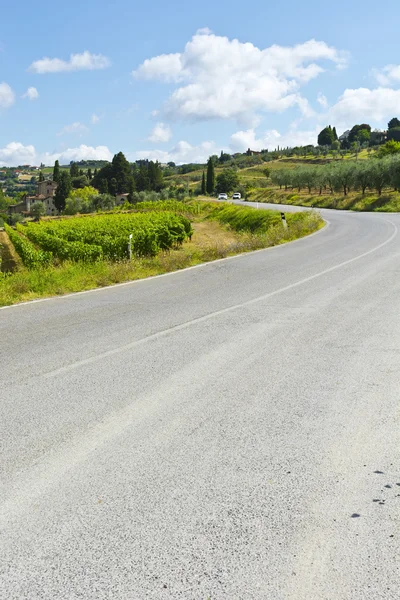 Camino cerca de Viñedos — Foto de Stock