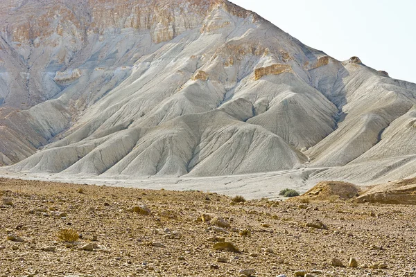 Öken i israel — Stockfoto