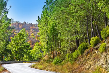 tepeler arasındaki yol 