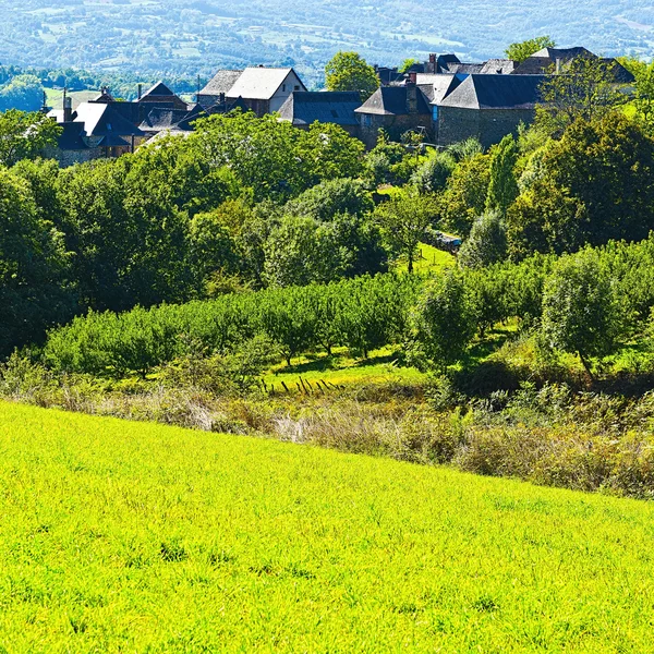 Piastrelle nere di tetto — Foto Stock